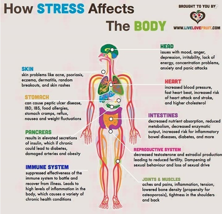 14 Effective Natural Remedies for Stress and Anxiety