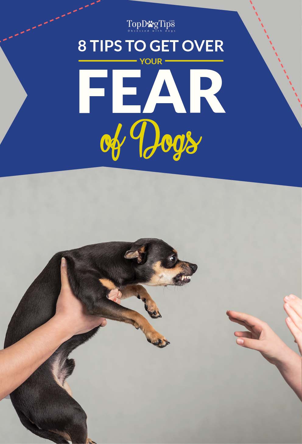 8 Tips on How to Get Over a Fear of Dogs (as per Animal ...