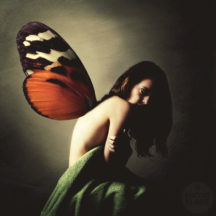 butterfly phobia by photoflake on DeviantArt