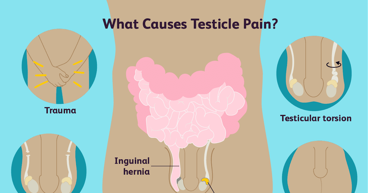 Can Anxiety Cause Groin And Testicle Pain