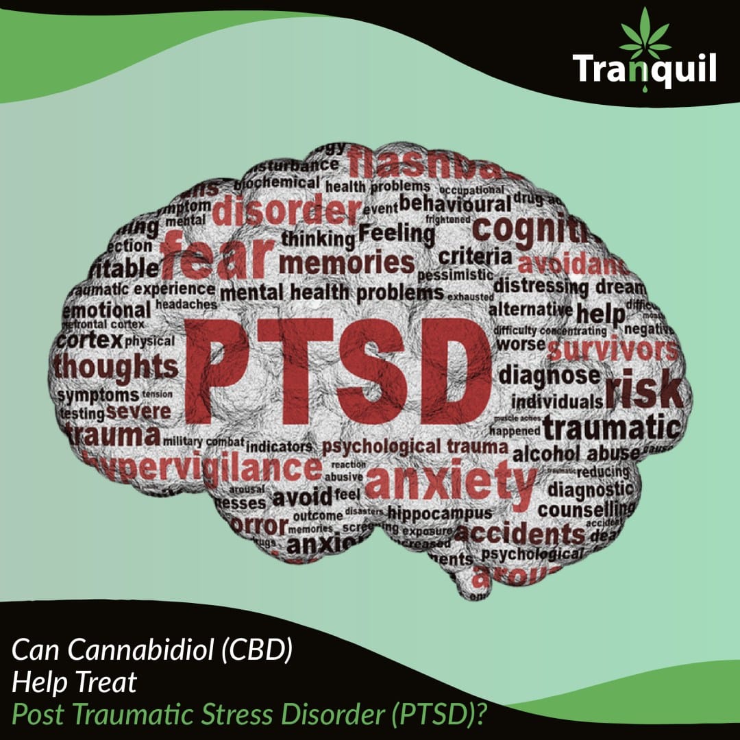Can Cannabidiol (CBD) Help Treat Post Traumatic Stress Disorder
