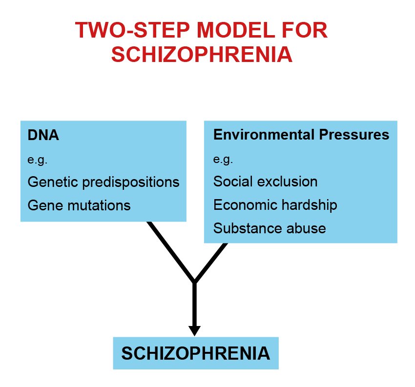 Causes :: Schizophrenic Brain