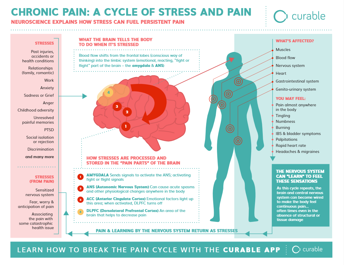 Chronic Pain: A Cycle of Stress and Pain