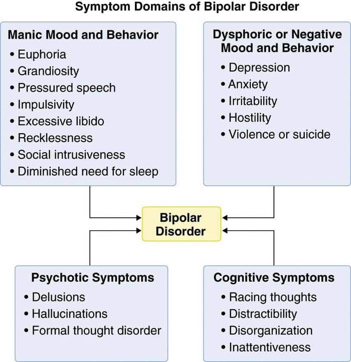 DSM 5  Schizophrenia Spectrum and Bipolar Disorders  Psychology