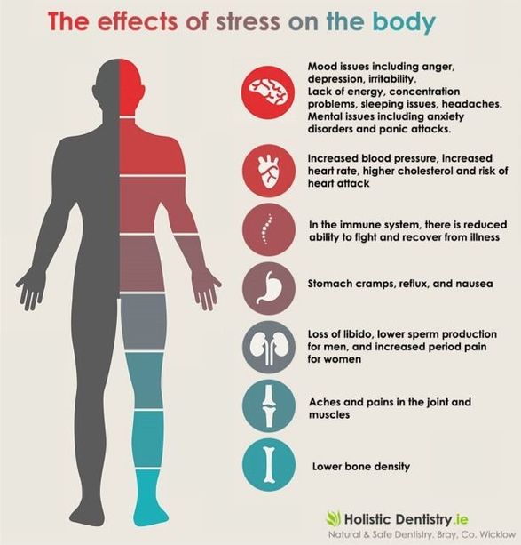 Exploring the Possible Physical Effects of Stress