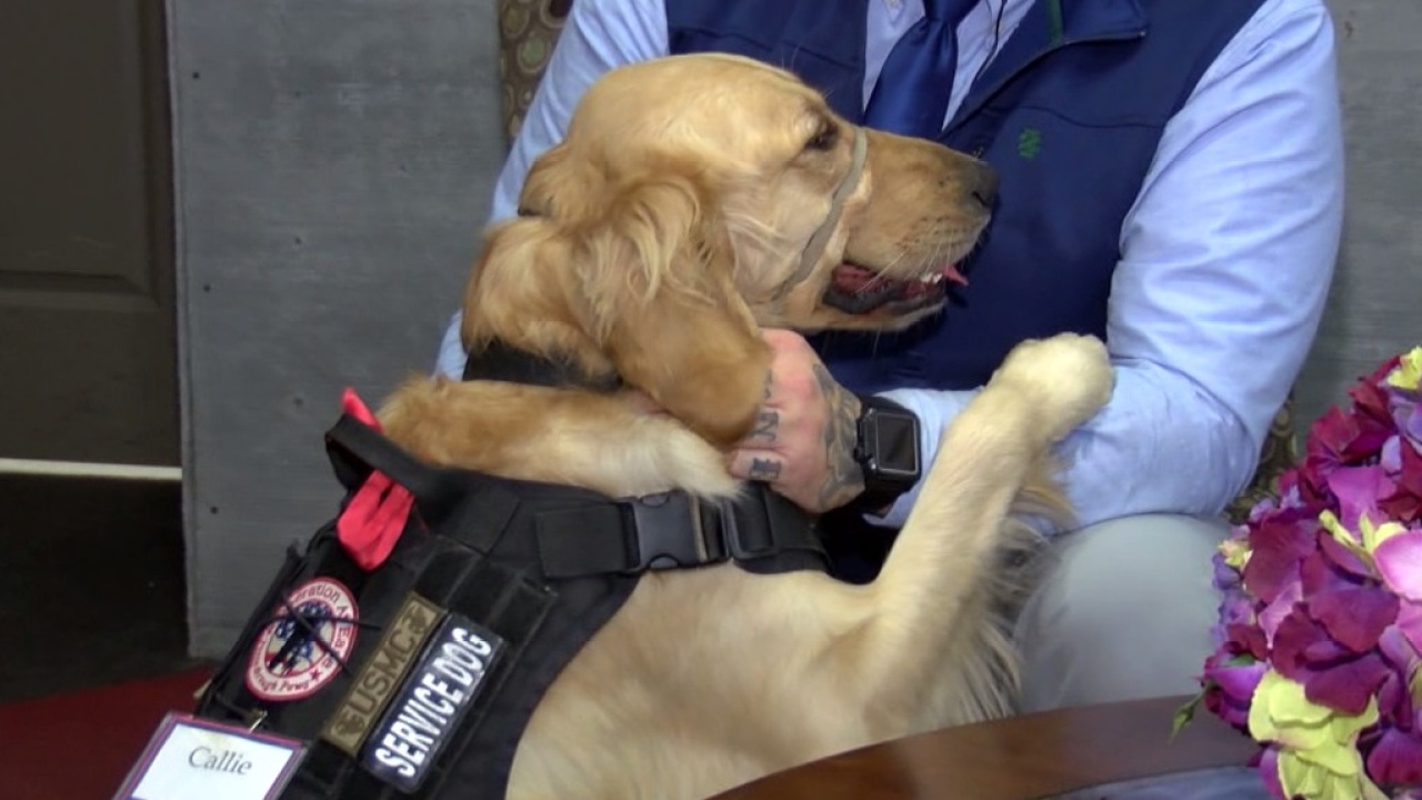Fundraiser held for local organization that pairs PTSD service dogs ...