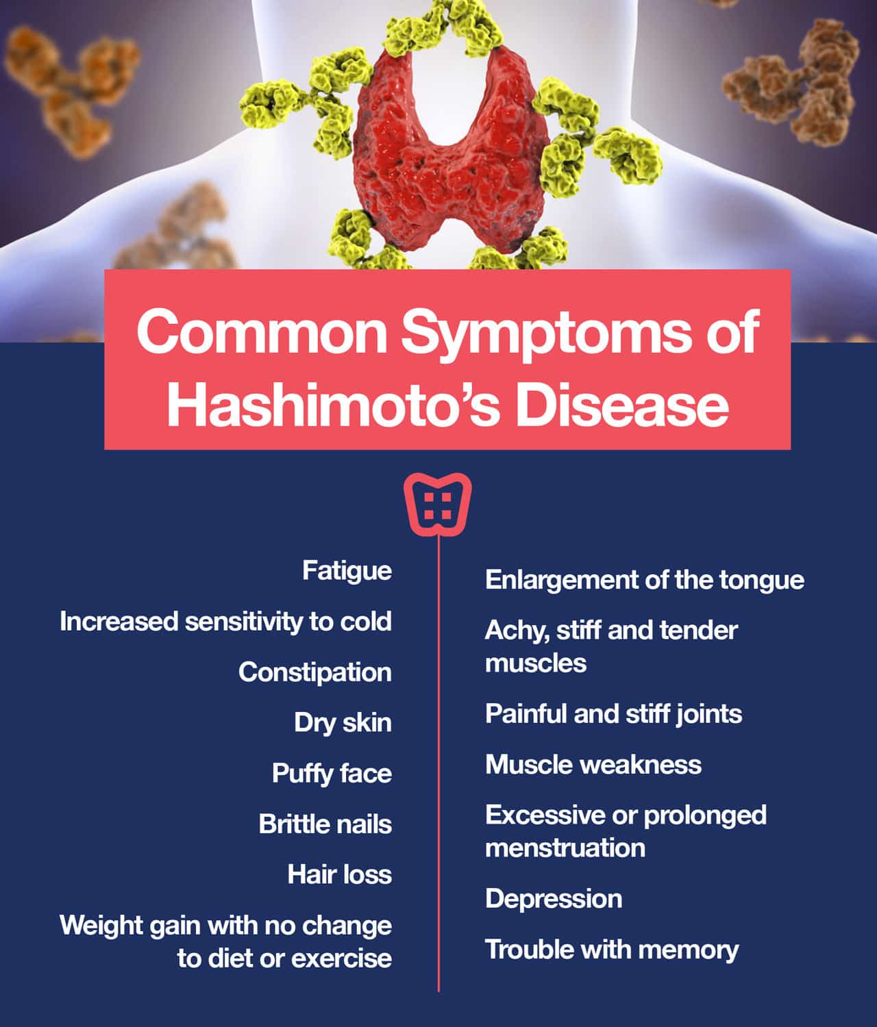 Hashimotoâs Disease: When the Thyroid Sleeps on the Job