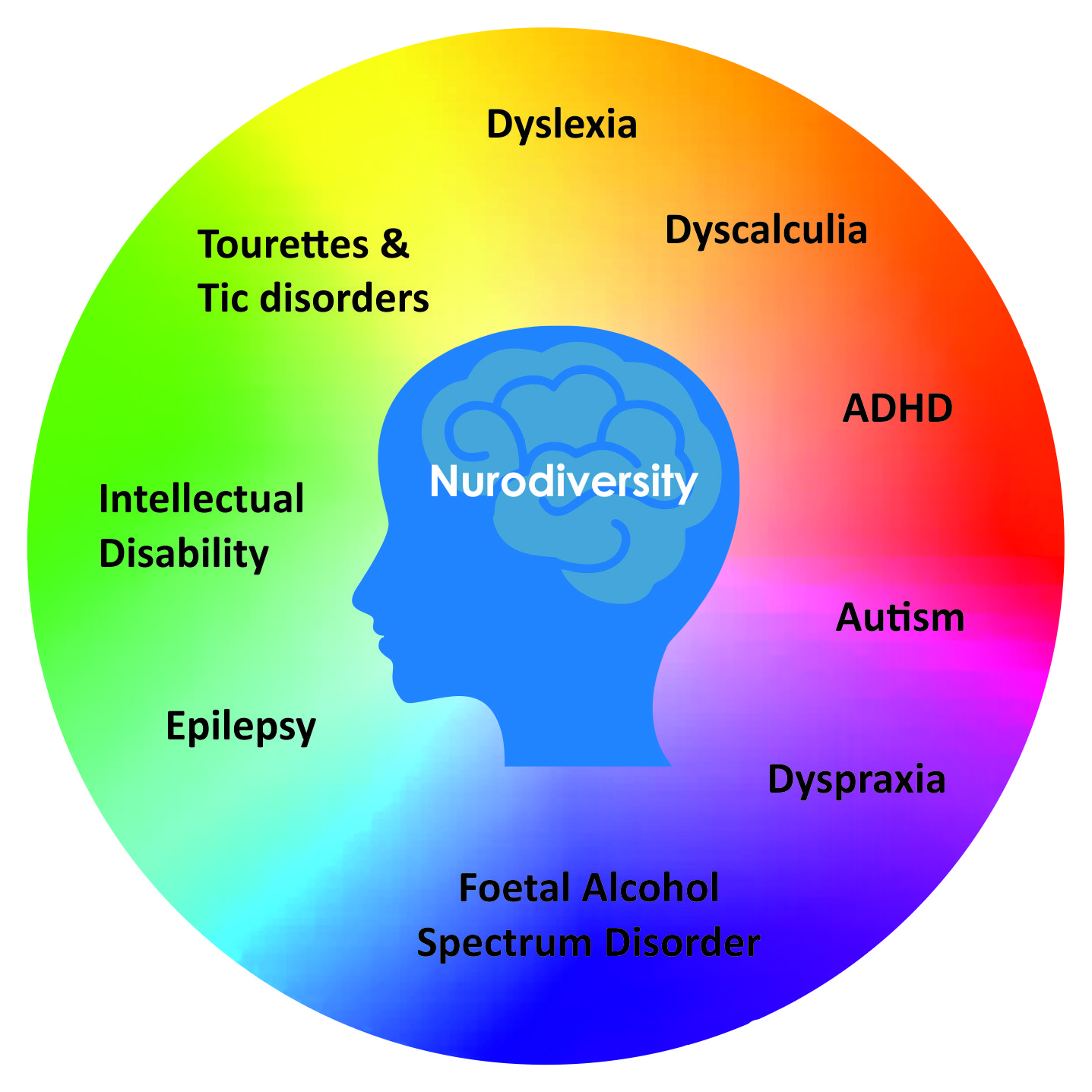How Does Neurodiverse Identify Autism