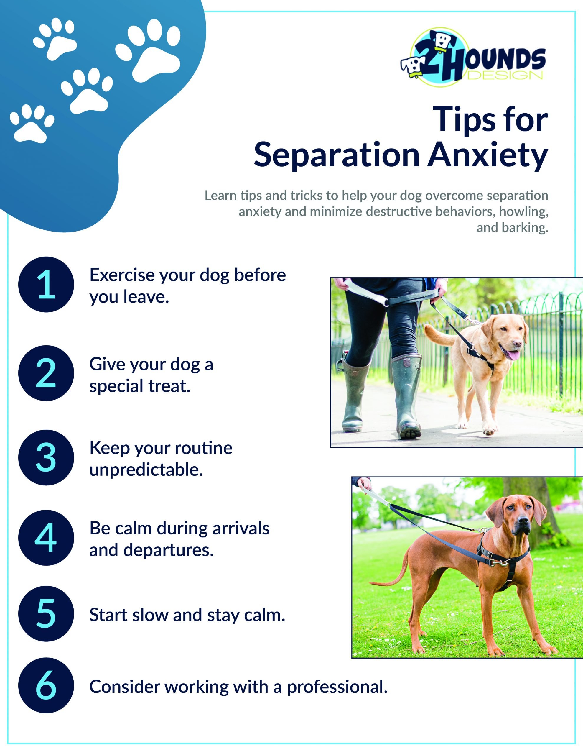 How to Help your Dog with Separation Anxiety