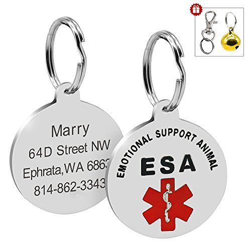 Just 4 Paws Service ESA PTSD, Therapy Dog Key &  Collar Tag for ADA ...