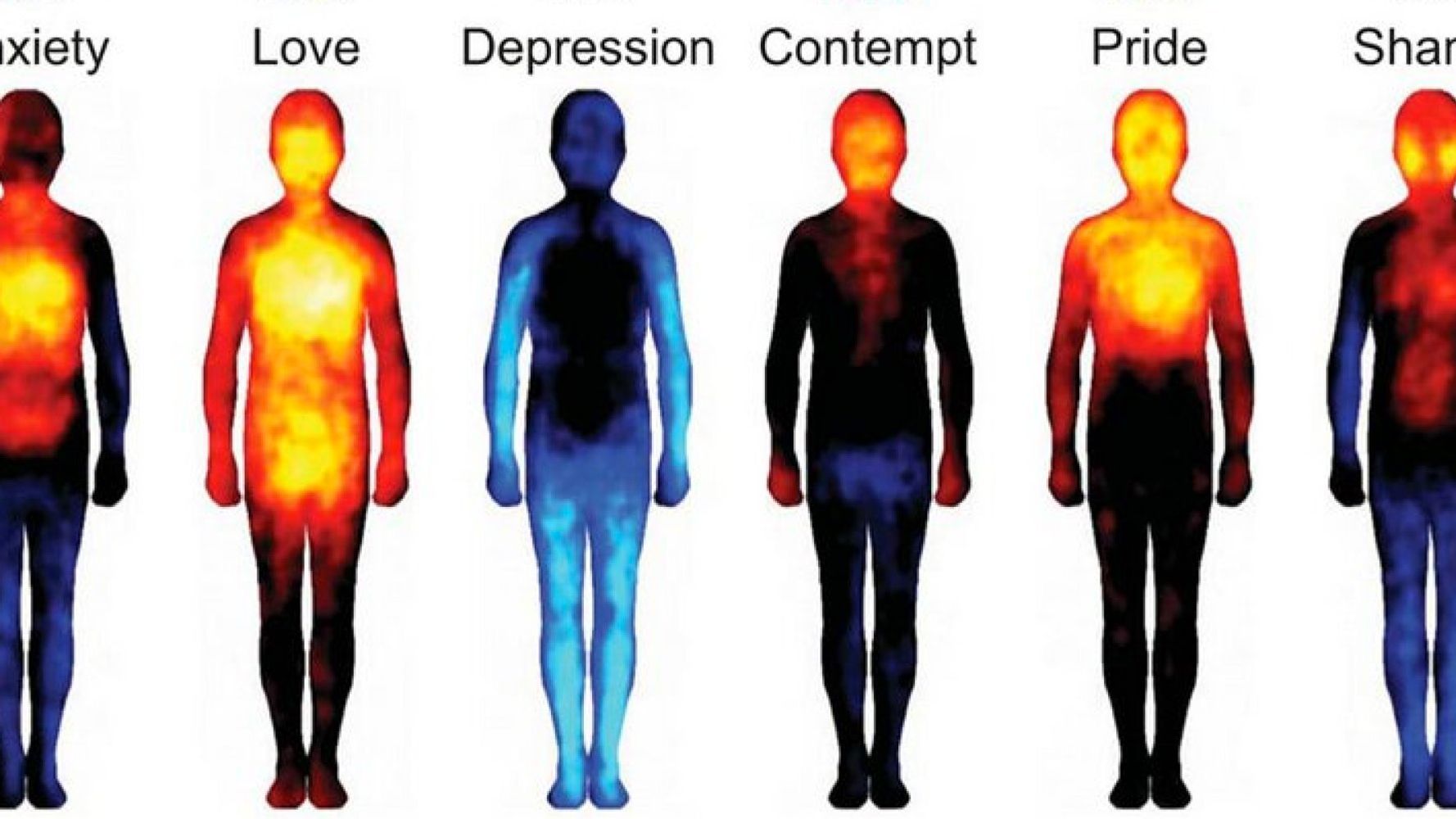 LOOK: How Body Temperature Changes When You