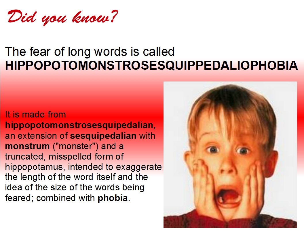 What Is The Name Of The Phobia Of Long Words ClubMentalHealthTalk