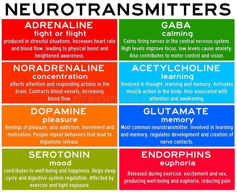 Neurotransmitters are chemicals that help in transmitting ...