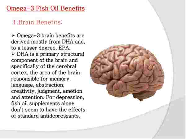 Omega 3 Dha And The Brain Depression Cure Dosage ...