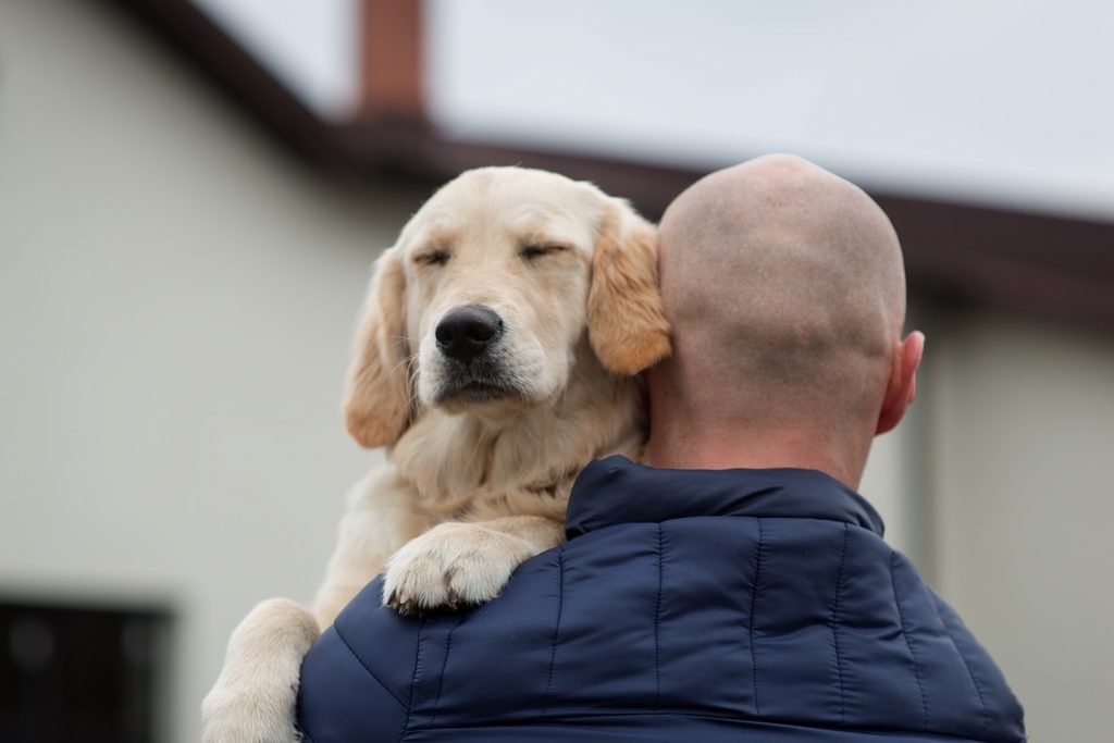 PTSD Service Dogs Help Veterans Adjust to Civilian Life ...