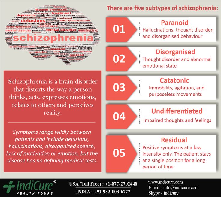 Schizophrenia : A disorder that affects a person