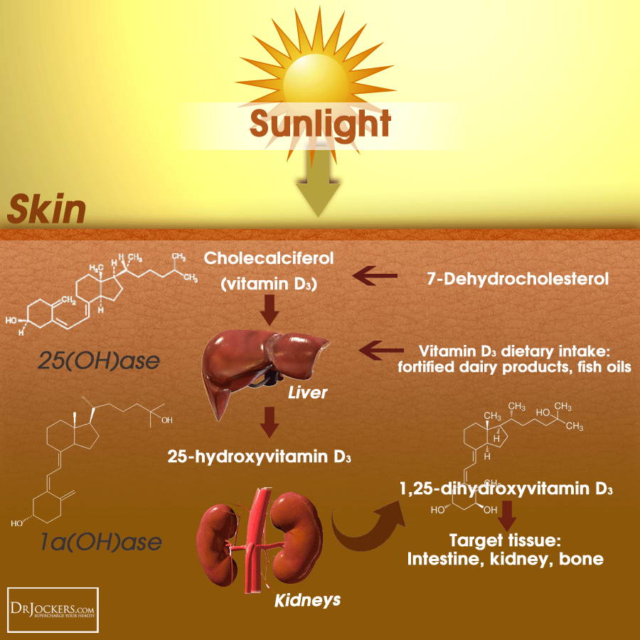 Sunlight and Vitamin D3 for Brain Health