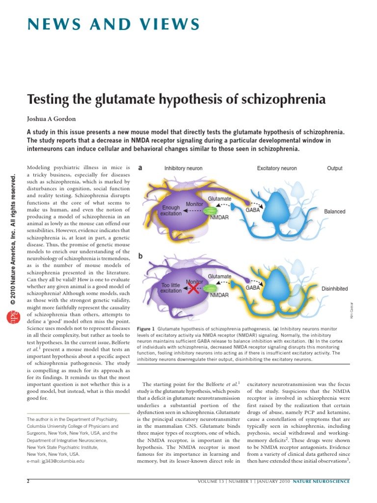 Testing the Glutamate Hypothesis of Schizophrenia