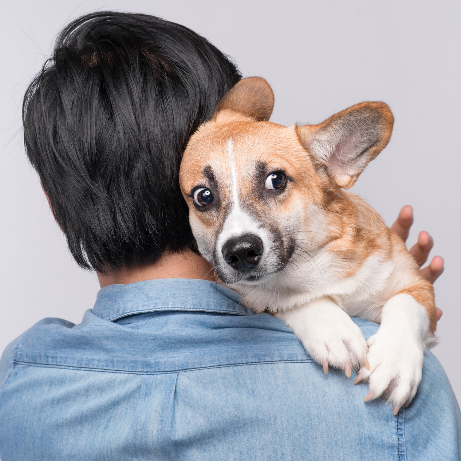 To Hug or Not to Hug Your Dog?