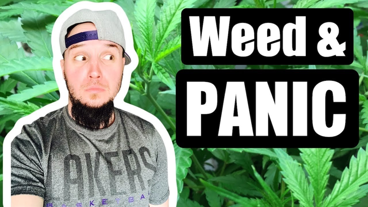 Weed and Panic Attacks