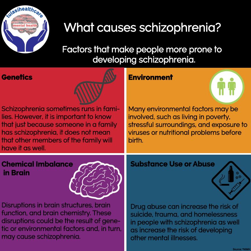 What causes schizophrenia? in 2021