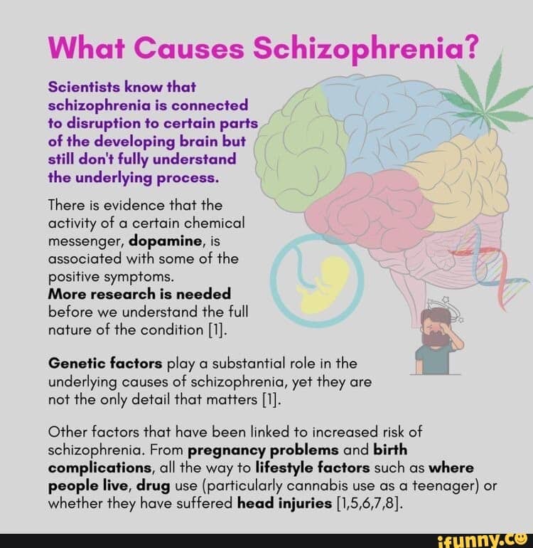What Causes Schizophrenia? Scientists know that schizophrenia is ...