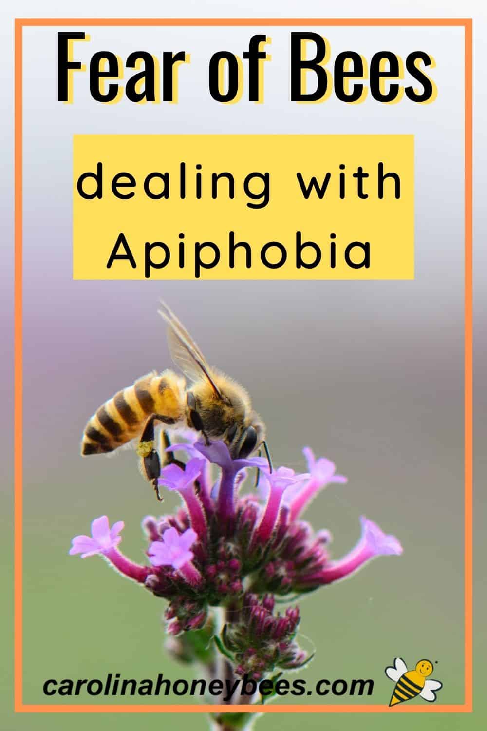 What is Apiphobia